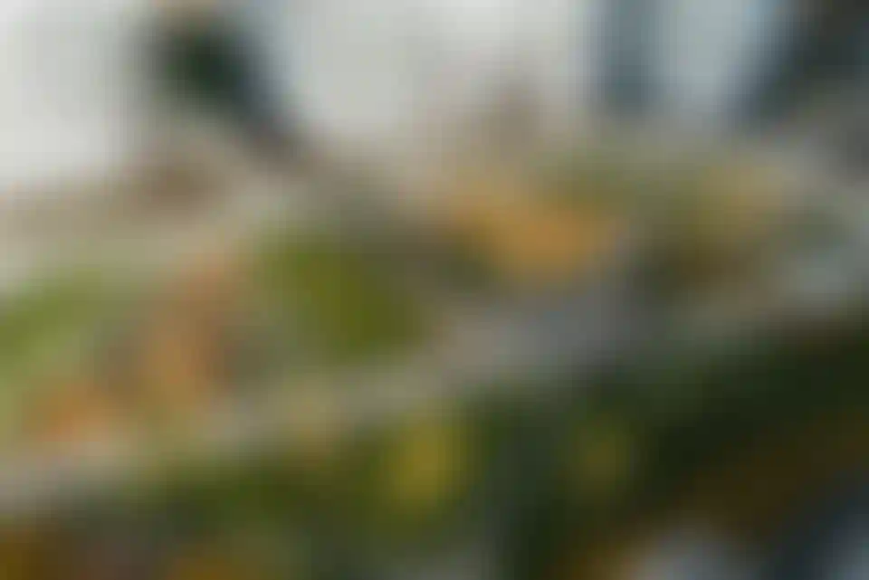 Изображение галереи