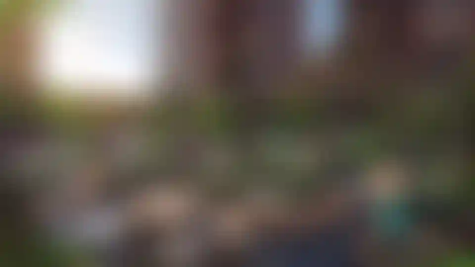 Изображение галереи