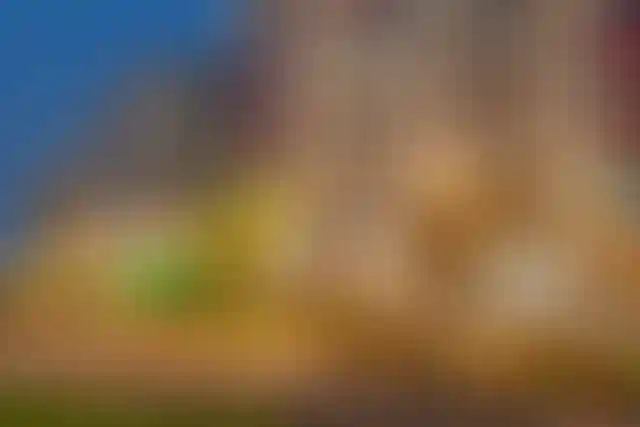 Изображение галереи