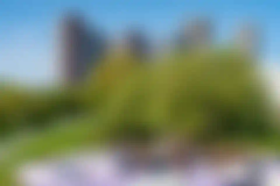 Изображение галереи