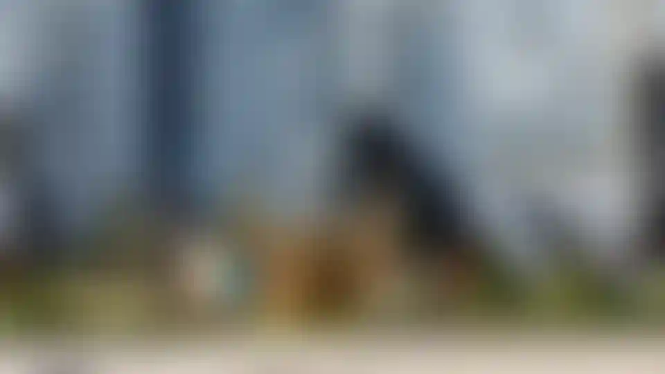 Изображение галереи