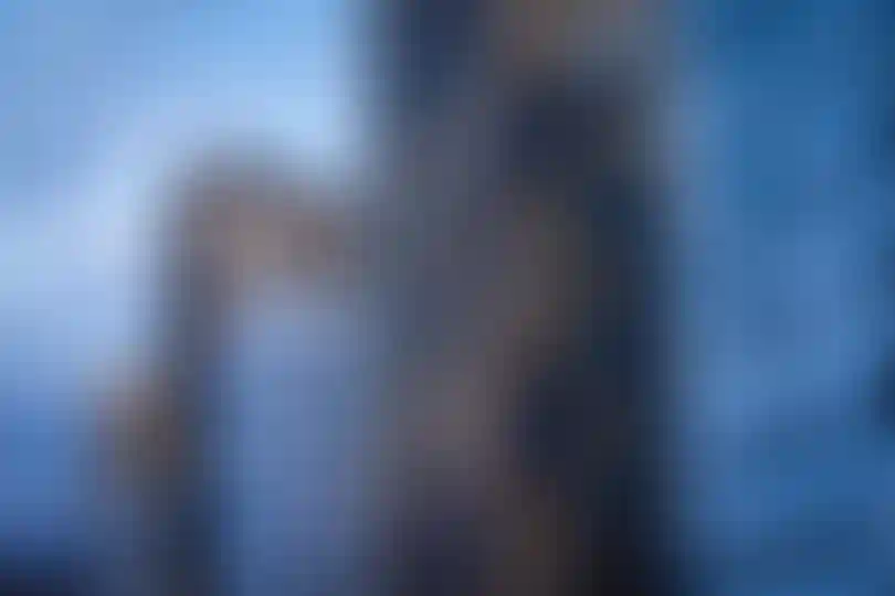 Изображение галереи