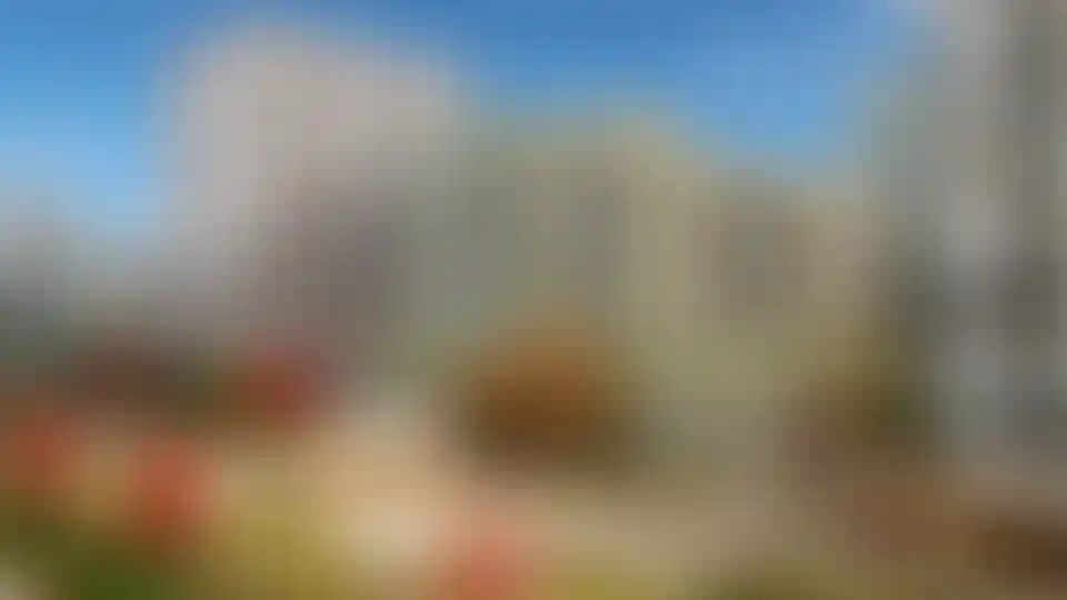 Изображение галереи