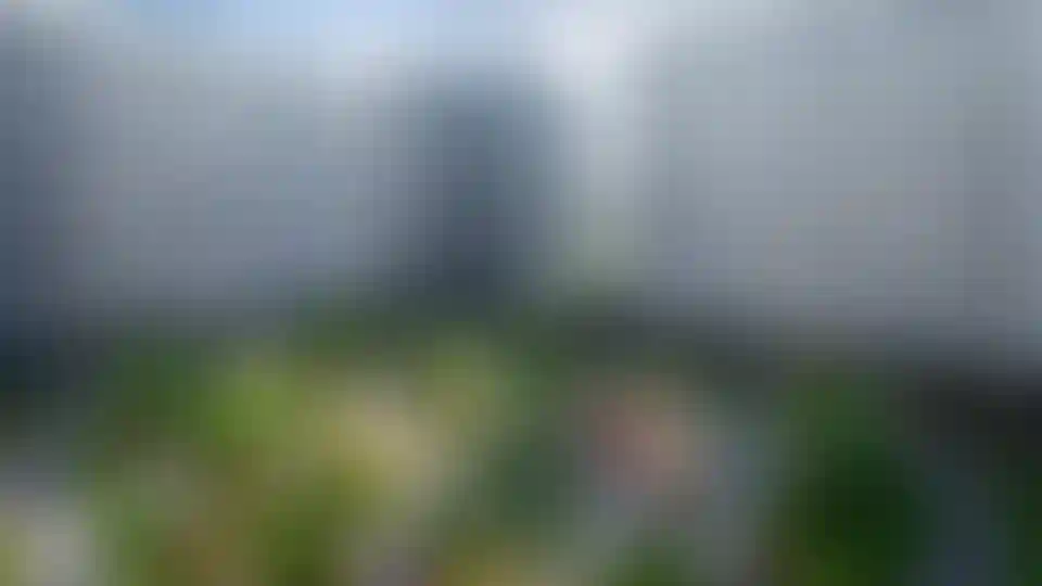 Изображение галереи