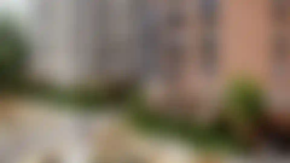 Изображение галереи