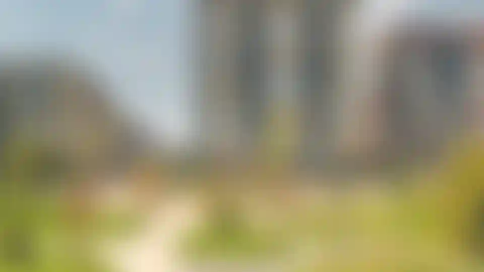 Изображение галереи