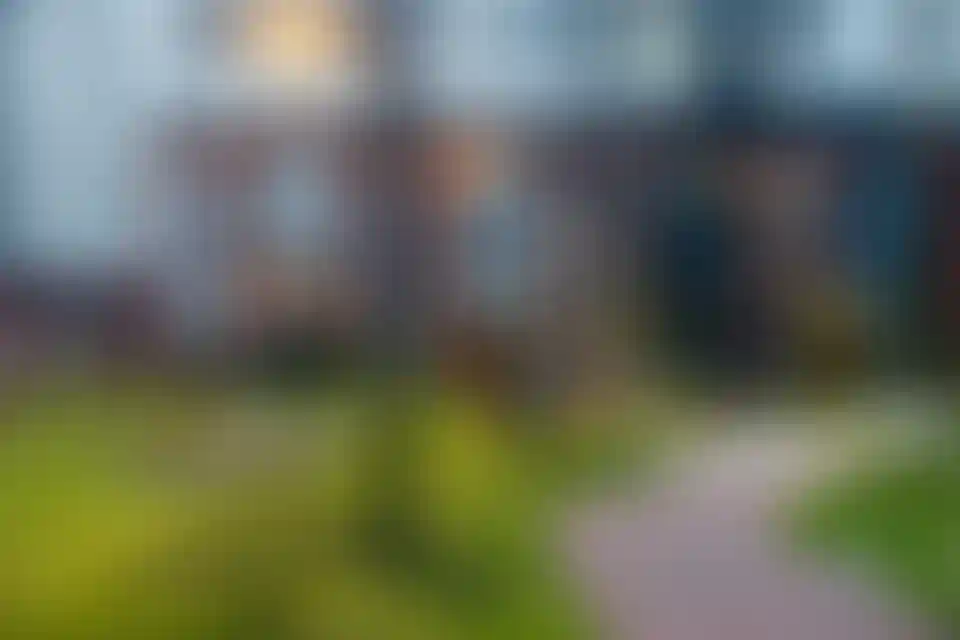 Изображение галереи