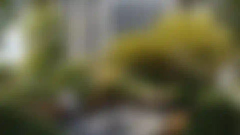 Изображение галереи