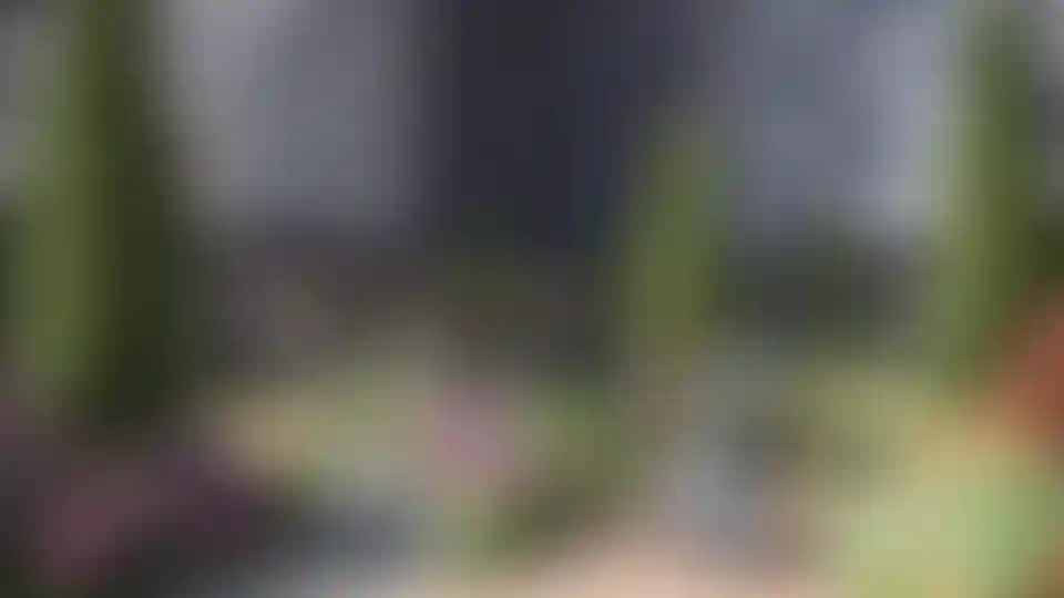 Изображение галереи