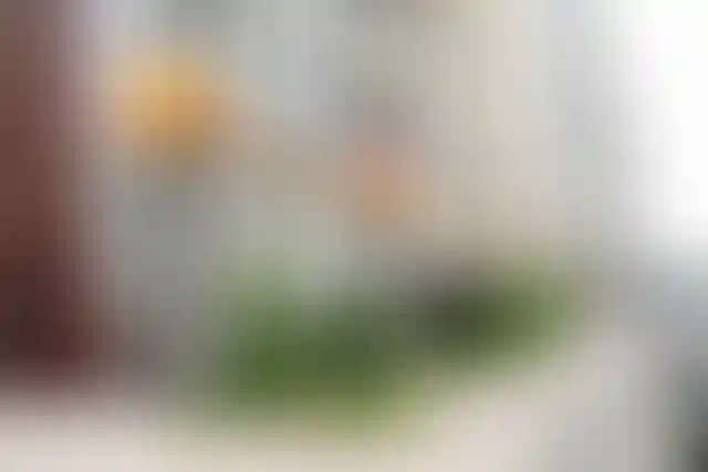 Изображение галереи