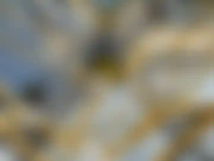 Изображение галереи