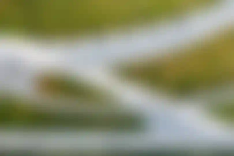 Изображение галереи