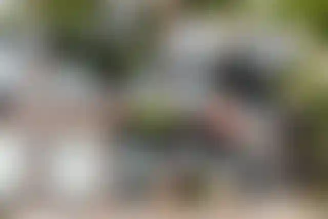 Изображение галереи