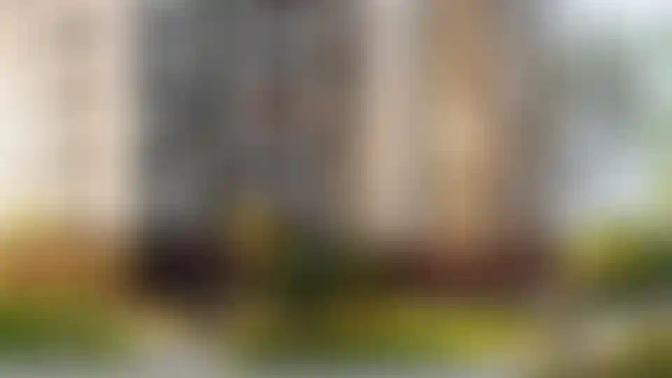 Изображение галереи