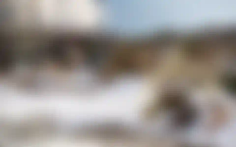 Изображение галереи