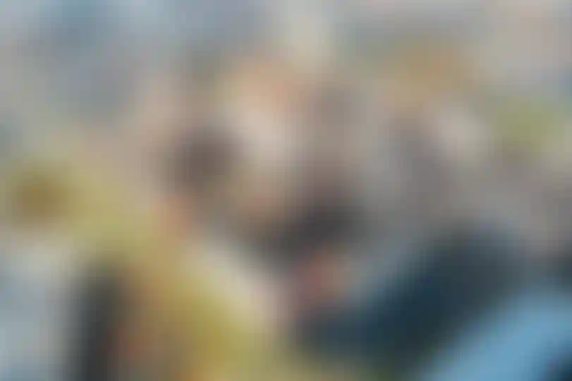 Изображение галереи