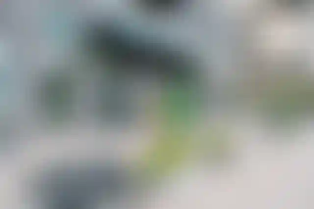 Изображение галереи