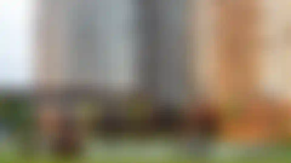 Изображение галереи