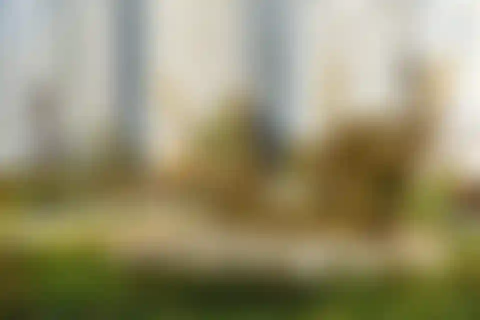 Изображение галереи