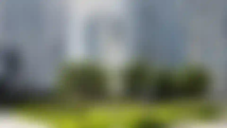 Изображение галереи