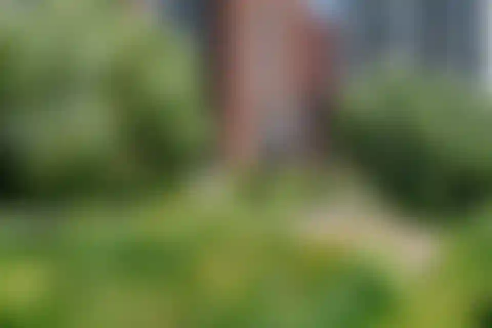 Изображение галереи