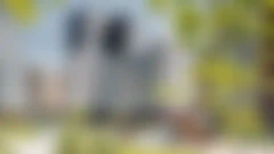 Изображение галереи