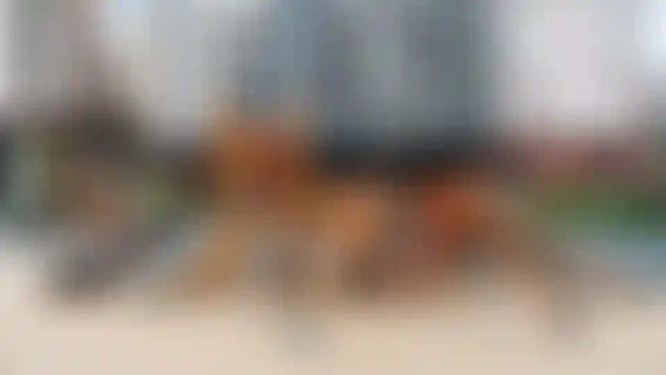 Изображение галереи