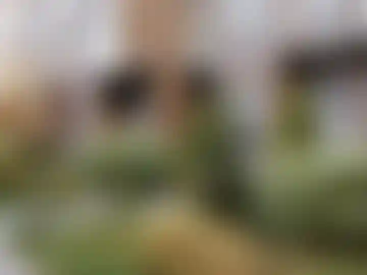 Изображение галереи