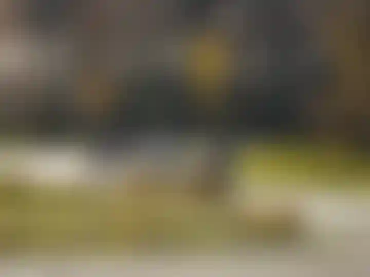 Изображение галереи