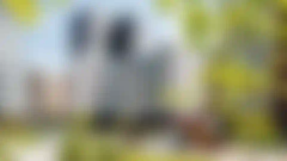 Изображение галереи