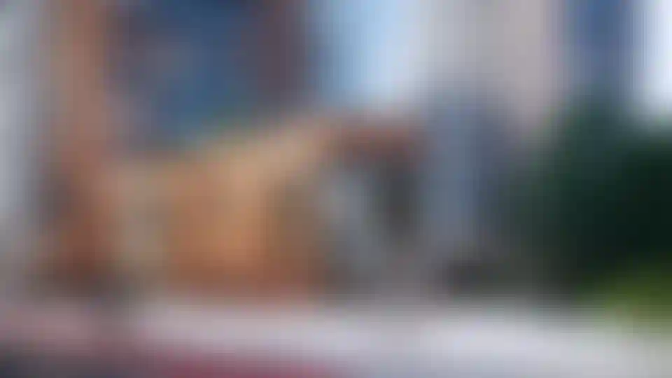 Изображение галереи