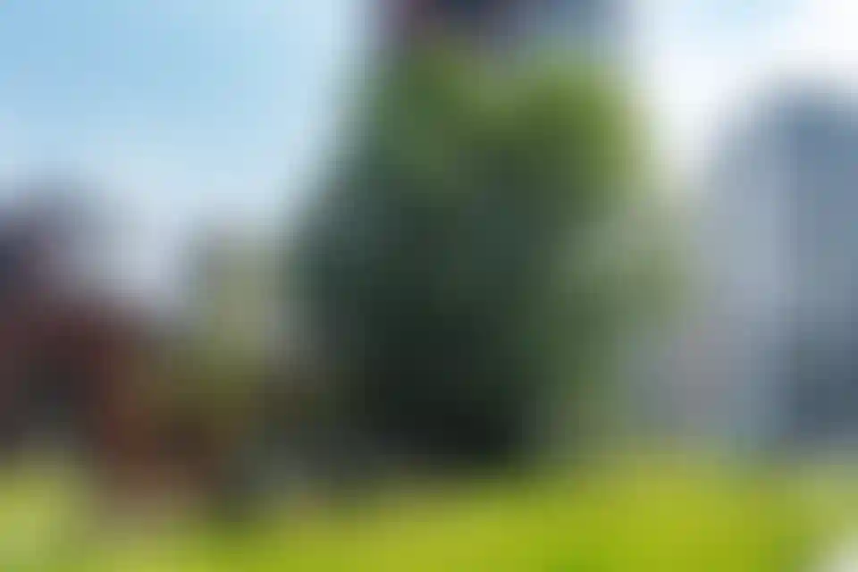 Изображение галереи