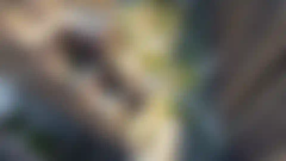 Изображение галереи