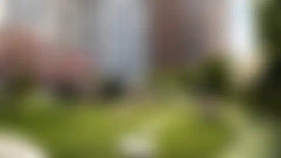 Изображение галереи