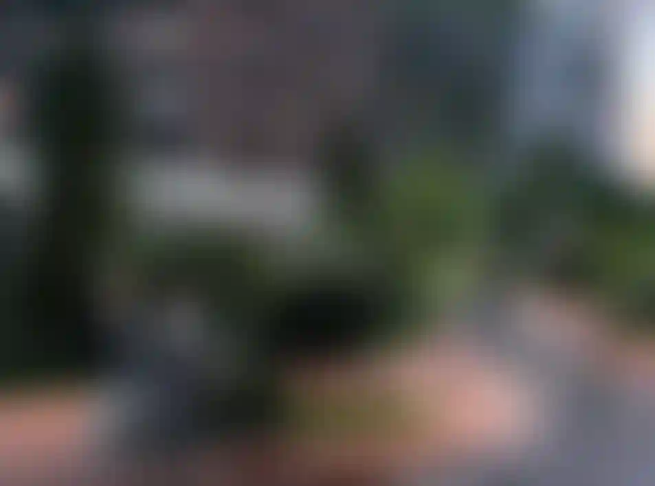 Изображение галереи