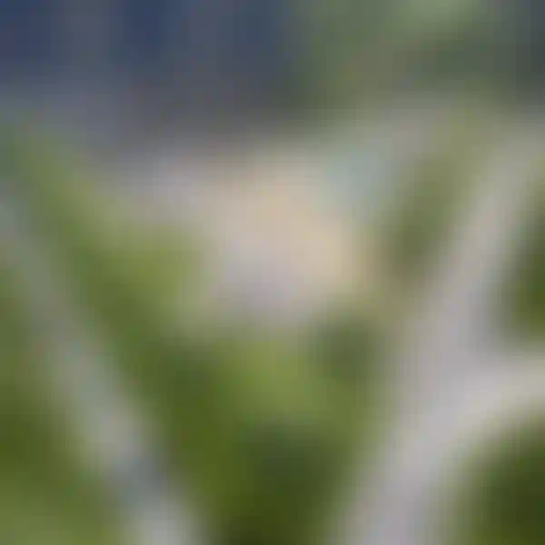 Изображение галереи