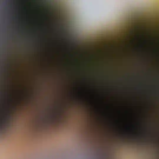 Изображение галереи