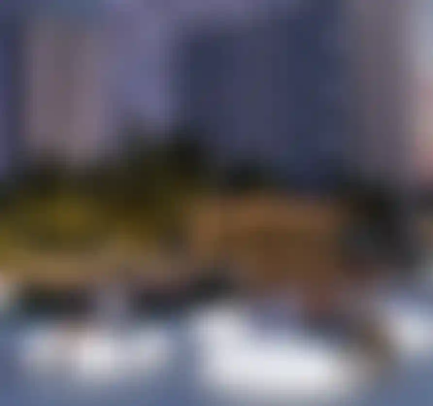 Изображение галереи