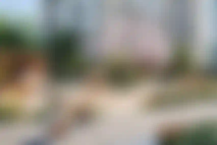 Изображение галереи