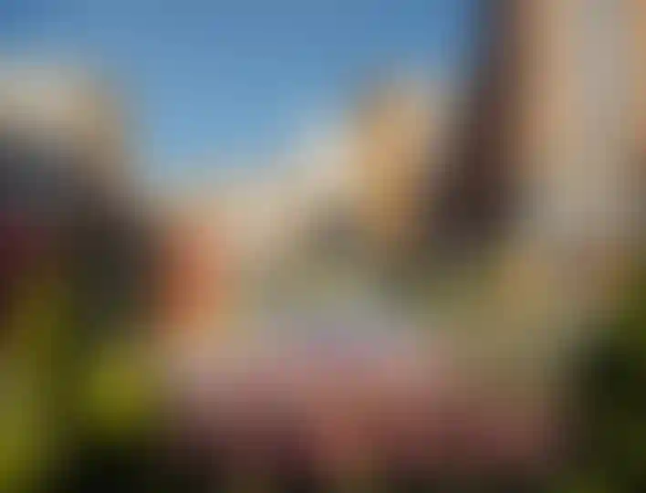 Изображение проекта