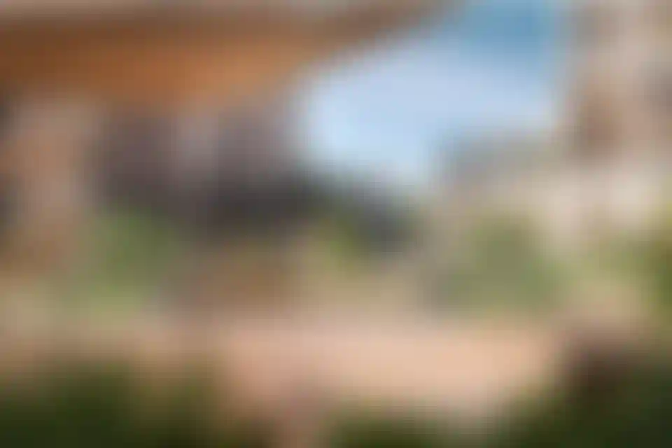 Изображение проекта