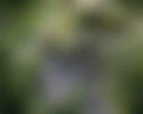 Изображение проекта