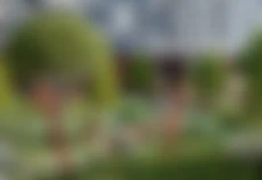 Изображение проекта