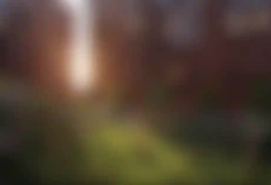 Изображение проекта