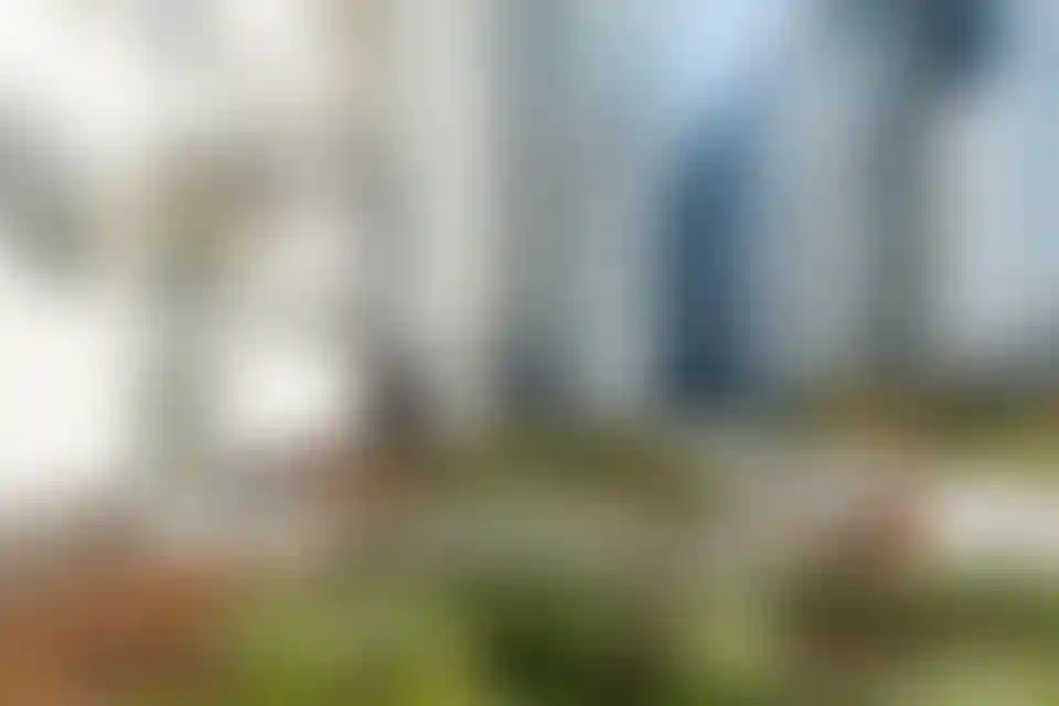 Изображение проекта