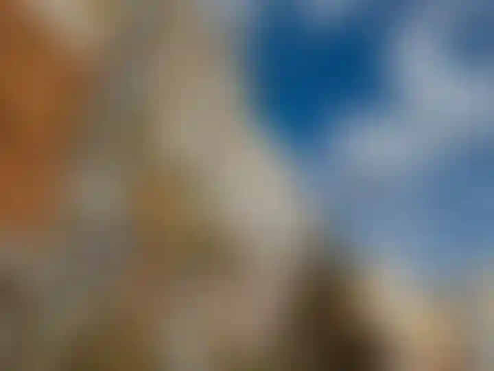 Изображение проекта