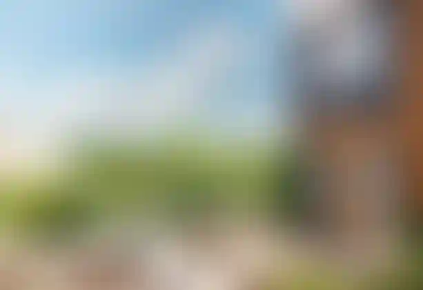 Изображение проекта