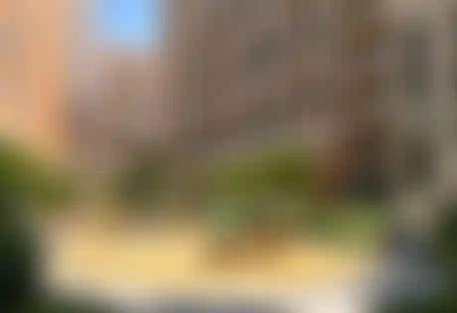 Изображение проекта