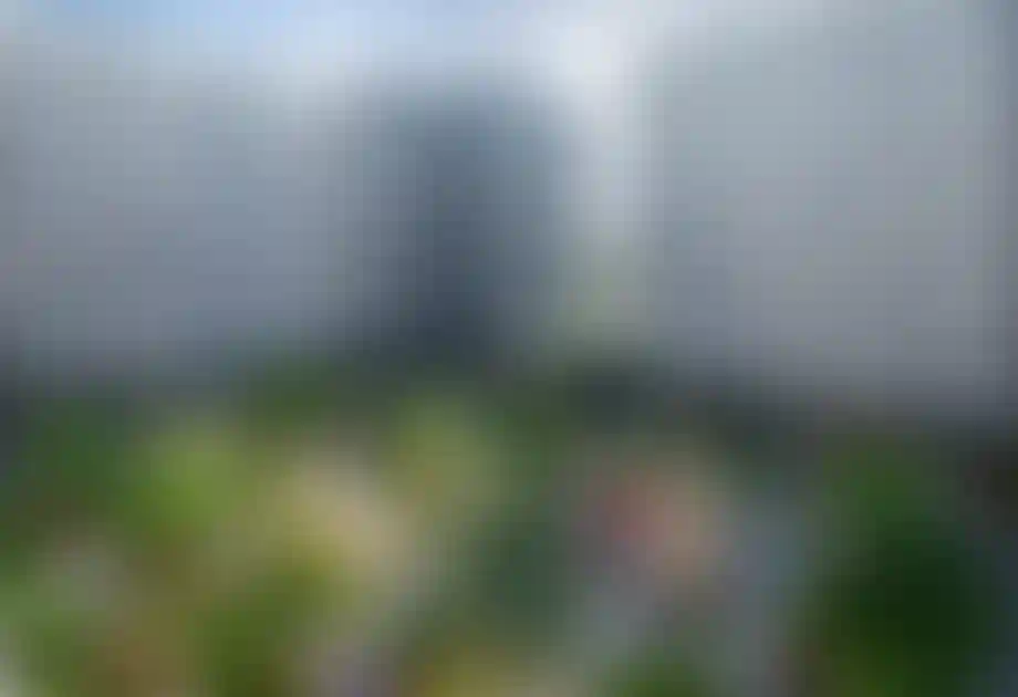 Изображение проекта