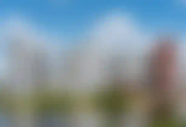 Изображение проекта